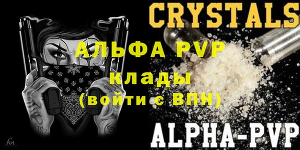 ECSTASY Белокуриха