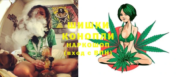 ГАЛЛЮЦИНОГЕННЫЕ ГРИБЫ Баксан